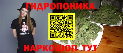 твердый Ставрополь