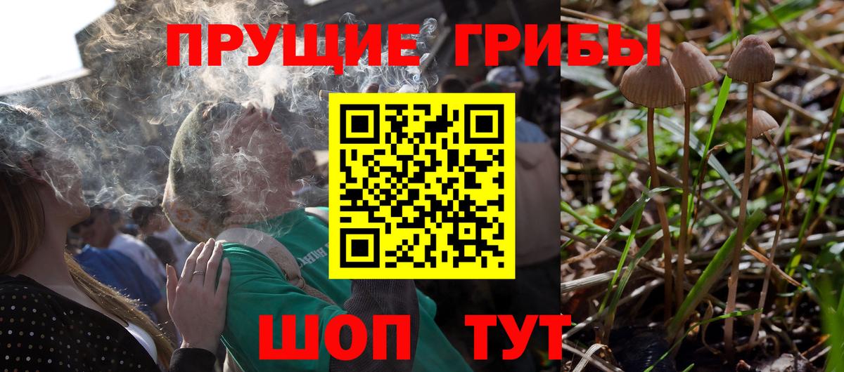 Галлюциногенные грибы ЛСД Нурлат